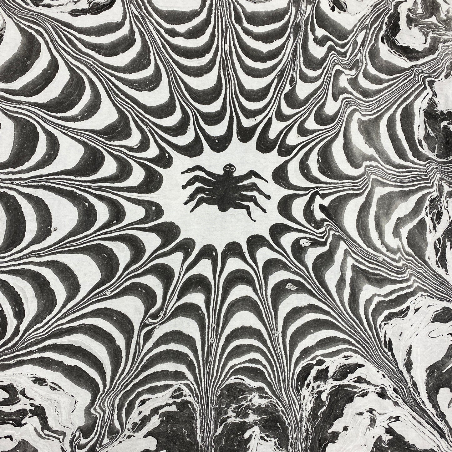 Spider Web XXX-Large