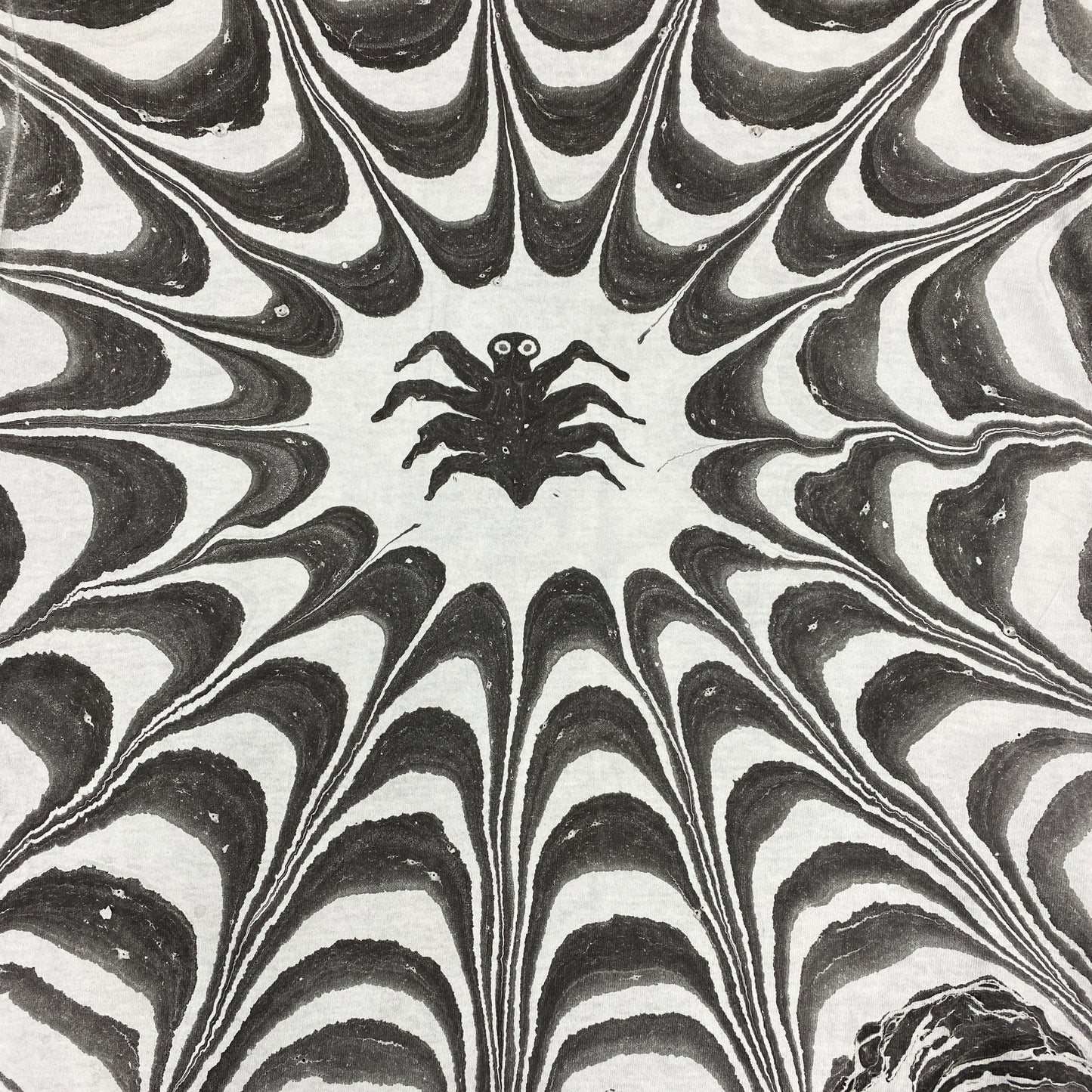 Spider Web Medium