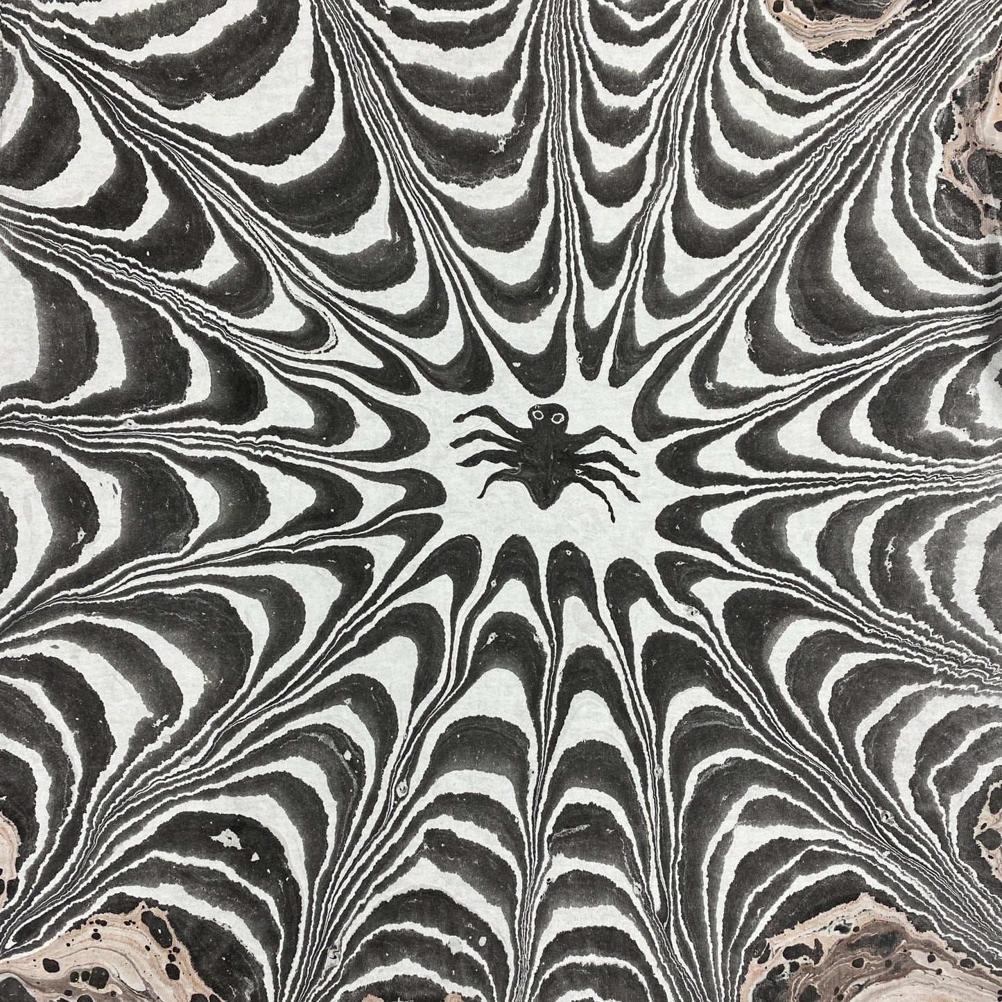 Spider Web Large