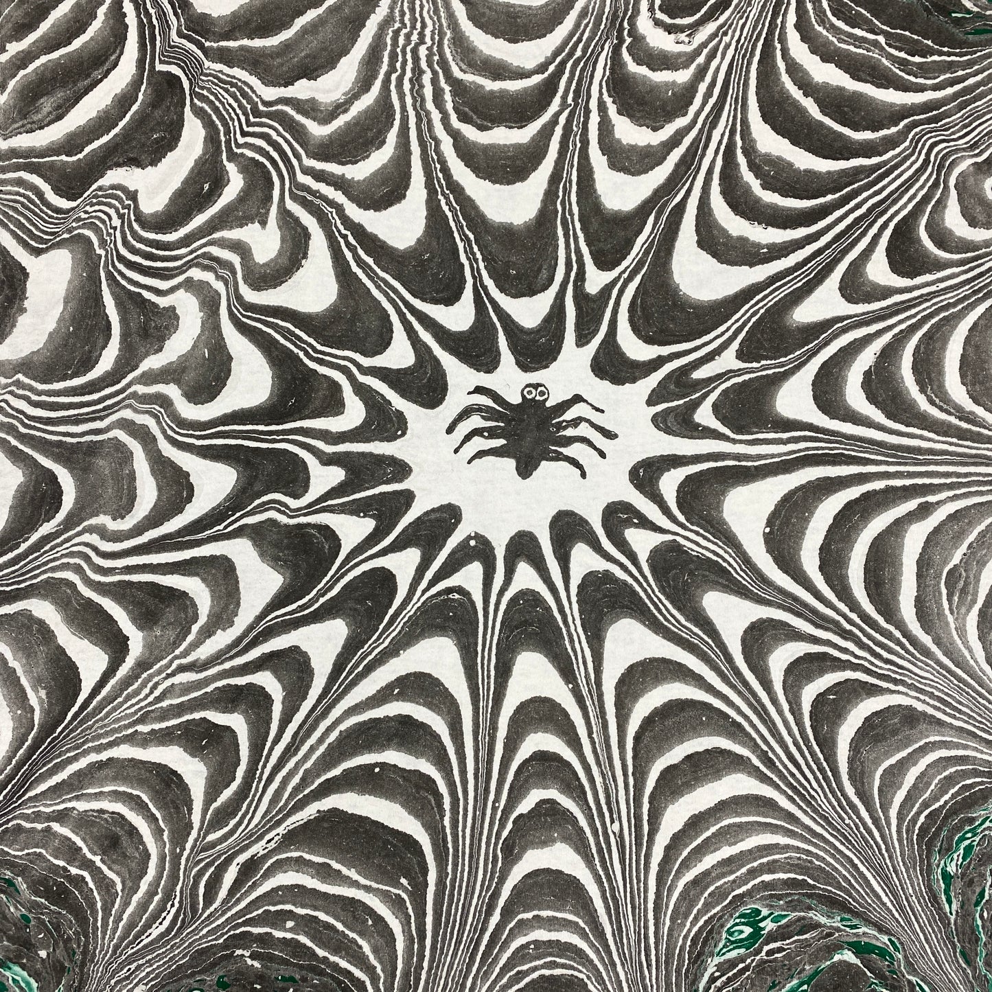 Spider Web X-Large