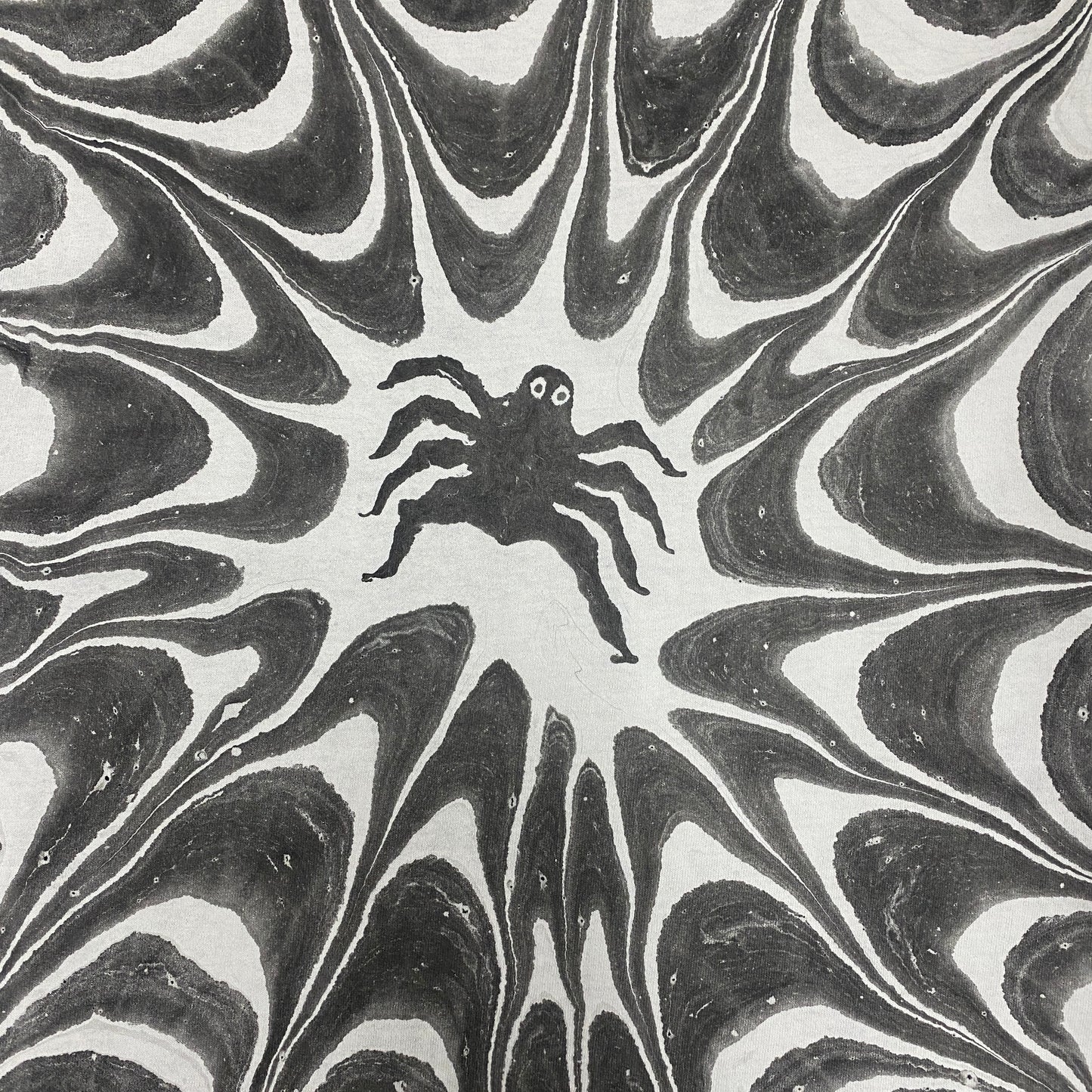 Spider Web XLarge 2