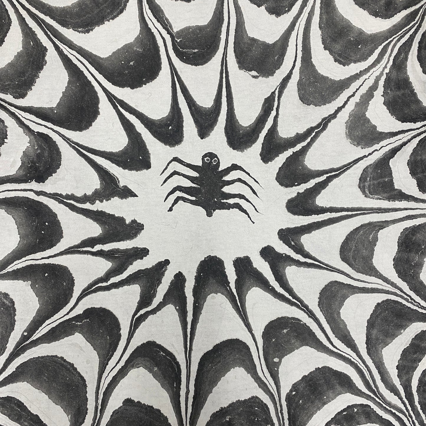 Spider Web Large #1